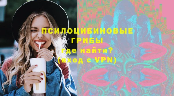 ГАЛЛЮЦИНОГЕННЫЕ ГРИБЫ Красноперекопск