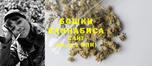 амф Вязьма