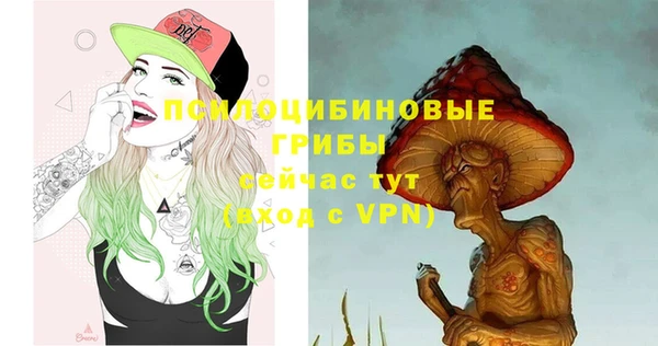 стафф Вязники