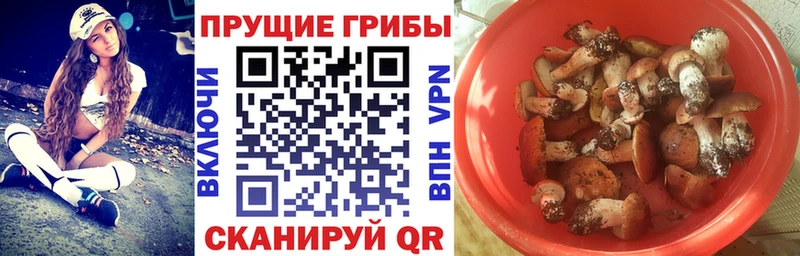 гидра сайт  Венёв  Псилоцибиновые грибы прущие грибы 